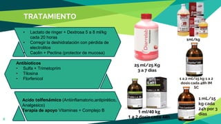 TRATAMIENTO
8
• Lactato de ringer + Dextrosa 5 a 8 ml/kg
cada 20 horas
• Corregir la deshidratación con pérdida de
electrolitos
• Caolin + Pectina (protector de mucosa)
Antibioticos
• Sulfa + Trimetoprim
• Tilosina
• Florfenicol
25 ml/25 Kg
3 a 7 días
Acido tolfenámico (Antiinflamatorio,antipirético,
Analgesico)
Terapia de apoyo Vitaminas + Complejo B 1 ml/40 kg
1 a 2 dosis cada 48h
1ml/kg
1 a 2 ml/15 kg 1 a 2
dosis cada 48h IM
SC
1 mL/15
kg cada
24h por 3
días
 