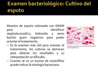 Muestra de esputo coloreada con GRAM
para
identificar
staphylococo(G+), klebsiella y otros
bacilos gram negativos para poder
orientar el tratamiento.
 Es le examen más útil para orientar el
tratamiento, los cultivos se demoran
para obtener los resultados y su
interpretación se dificulta.
 Cuando se ve un exceso de neutrófilos
puede indicar la etiología bacteriana.

http://www.revistaciencias.com/publicaciones/EEuF
ZyZukkQpINIlXI.php

 