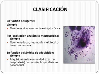 CLASIFICACIÓN
En función del agente:
ejemplo
 Neumococcica, neumonía estreptocócica
Por localización anatómica macroscópica:
ejemplo
 Neumonía lobar, neumonía multifocal o
bronconeumonía
En función del ámbito de adquisición:
ejemplo
 Adquiridas en la comunidad (o extra-
hospitalaria) neumonías hospitalarias o
nosocomial.
 