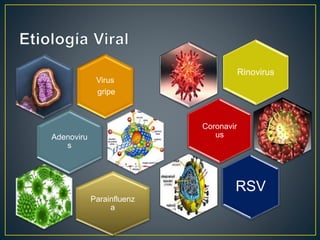 Virus 
gripe 
Adenoviru 
s 
Parainfluenz 
a 
Rinovirus 
Coronavir 
us 
RSV 
 