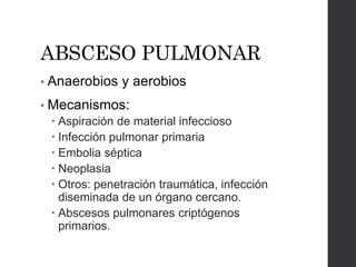 ABSCESO PULMONAR 
• Anaerobios y aerobios 
• Mecanismos: 
 Aspiración de material infeccioso 
 Infección pulmonar primaria 
 Embolia séptica 
 Neoplasia 
 Otros: penetración traumática, infección 
diseminada de un órgano cercano. 
 Abscesos pulmonares criptógenos 
primarios. 
 