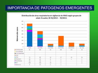 IMPORTANCIA DE PATOGENOS EMERGENTESIMPORTANCIA DE PATOGENOS EMERGENTES
 
