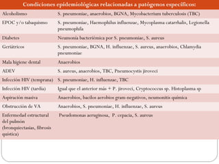 Condiciones epidemiológicas relacionadas a patógenos específicos:
Alcoholismo S. pneumoniae, anaerobios, BGNA, Mycobacterium tuberculosis (TBC)
EPOC y/o tabaquismo S. pneumoniae, Haemophilus influenzae, Mycoplasma catarrhalis, Legionella
pneumophila
Diabetes Neumonía bacteriémica por S. pneumoniae, S. aureus
Geriátricos S. pneumoniae, BGNA, H. influenzae, S. aureus, anaerobios, Chlamydia
pneumoniae
Mala higiene dental Anaerobios
ADEV S. aureus, anaerobios, TBC, Pneumocystis jiroveci
Infección HIV (temprana) S. pneumoniae, H. influenzae, TBC
Infección HIV (tardía) Igual que el anterior más + P. jiroveci, Cryptococcus sp. Histoplasma sp
Aspiración masiva Anaerobios, bacilos aerobios gram-negativos, neumonitis química
Obstrucción de VA Anaerobios, S. pneumoniae, H. influenzae, S. aureus
Enfermedad estructural
del pulmón
(bronquiectasias, fibrosis
quística)
Pseudomonas aeruginosa, P. cepacia, S. aureus
 