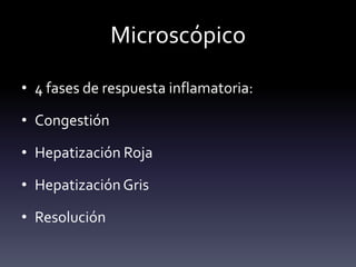 Microscópico
• 4 fases de respuesta inflamatoria:
• Congestión
• Hepatización Roja
• Hepatización Gris
• Resolución