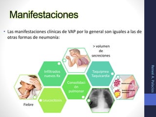 Manifestaciones
• Las manifestaciones clínicas de VAP por lo general son iguales a las de
otras formas de neumonía:
ReneéA.Palacios
Leucocitosis
Consolidaci
ón
pulmonar
Infiltrados
nuevos Rx
Taquipnea
Taquicardia
Fiebre
> volumen
de
secreciones
 