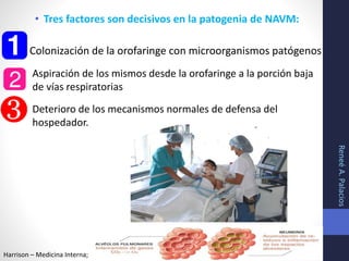• Tres factores son decisivos en la patogenia de NAVM:
ReneéA.Palacios
Harrison – Medicina Interna;
Colonización de la orofaringe con microorganismos patógenos
Aspiración de los mismos desde la orofaringe a la porción baja
de vías respiratorias
Deterioro de los mecanismos normales de defensa del
hospedador.
 