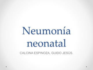 Neumonía
neonatal
CALCINA ESPINOZA, GUIDO JESÚS.
 
