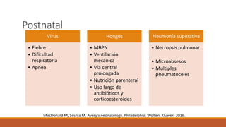 Postnatal
Virus
• Fiebre
• Dificultad
respiratoria
• Apnea
Hongos
• MBPN
• Ventilación
mecánica
• Vía central
prolongada
• Nutrición parenteral
• Uso largo de
antibióticos y
corticoesteroides
Neumonía supurativa
• Necropsis pulmonar
• Microabsesos
• Multiples
pneumatoceles
MacDonald M, Seshia M. Avery's neonatology. Philadelphia: Wolters Kluwer; 2016.
 