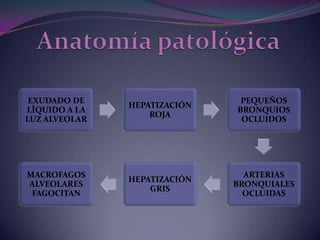 Anatomía patológica