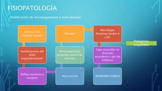 FISIOPATOLOGÍA 
Vibrisas y los 
cornetes nasales 
Ramificaciones del 
árbol 
traqueobronquial* 
Reflejo nauseoso y 
tusígeno 
“Alveolos” 
Microorganismos 
pequeños vencen las 
barreras 
Flora normal 
Macrófagos 
(Proteínas locales A 
y D)* 
Capa mucociliar en 
dirección 
ascendente y por los 
linfáticos 
NEUMONÍA CLÍNICA 
Proliferación de microorganismo a nivel alveolar 
Patógenos 
engullidos 
 