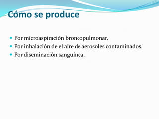Cómo se produce
 Por microaspiración broncopulmonar.
 Por inhalación de el aire de aerosoles contaminados.
 Por diseminación sanguínea.
 