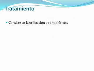 Tratamiento
 Consiste en la utilización de antibióticos.
 