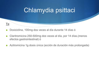 Chlamydia psittaci
Tx:

S Doxiciclina, 100mg dos veces al día durante 14 días ó

S Claritromicina 250-500mg dos veces al día, por 14 días.(menos
  efectos gastrointestinal) ó

S Azitromicina 1g dosis única (acción de duración más prolongada)
 
