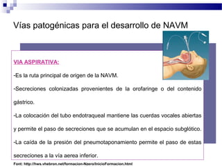 Vías patogénicas para el desarrollo de NAVM
VIA ASPIRATIVA:
-Es la ruta principal de origen de la NAVM.
-Secreciones colonizadas provenientes de la orofaringe o del contenido
gástrico.
-La colocación del tubo endotraqueal mantiene las cuerdas vocales abiertas
y permite el paso de secreciones que se acumulan en el espacio subglótico.
-La caída de la presión del pneumotaponamiento permite el paso de estas
secreciones a la vía aerea inferior.
Font: http://hws.vhebron.net/formacion-Nzero/InicioFormacion.html
 