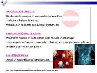 INOCULACIÓN DIRECTA:
Condensación de agua en los circuitos del ventilador
Inadecuada higiene de manso
Manipulación deficiente de equipos e instrumental
TRASLOCACIÓ BACTERIANA:
Mecanismo basado en la disfunción de la mucosa intestinal que
habitualmente actúa como barrera de protección entre los gérmenes de la luz
intestinal y el torrente sanguíneo.
VIA HEMATÓGENA:
Desde un foco infeccioso extrapulmonar.
Font: http://hws.vhebron.net/formacion-Nzero/InicioFormacion.html
 