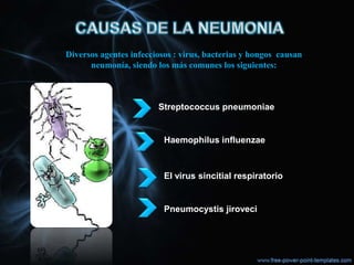 Diversos agentes infecciosos : virus, bacterias y hongos causan
      neumonía, siendo los más comunes los siguientes:



                        Streptococcus pneumoniae


                          Haemophilus influenzae



                          El virus sincitial respiratorio


                          Pneumocystis jiroveci
 