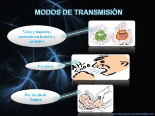 Virus y bacterias
presentes en la nariz y
      garganta




           Vía aérea




   Por medio de
      Sangre
 