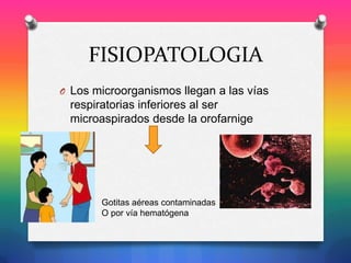 FISIOPATOLOGIA
O Los microorganismos llegan a las vías

respiratorias inferiores al ser
microaspirados desde la orofarnige

Gotitas aéreas contaminadas
O por vía hematógena

 