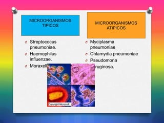 MICROORGANISMOS
TIPICOS

MICROORGANISMOS
ATIPICOS

O Streptococus

O Myciplasma

pneumoniae.
O Haemophilus
influenzae.
O Moraxellacatarrhalis.

pneumoniae
O Chlamydia pneumoniae
O Pseudomona
aeruginosa.

 