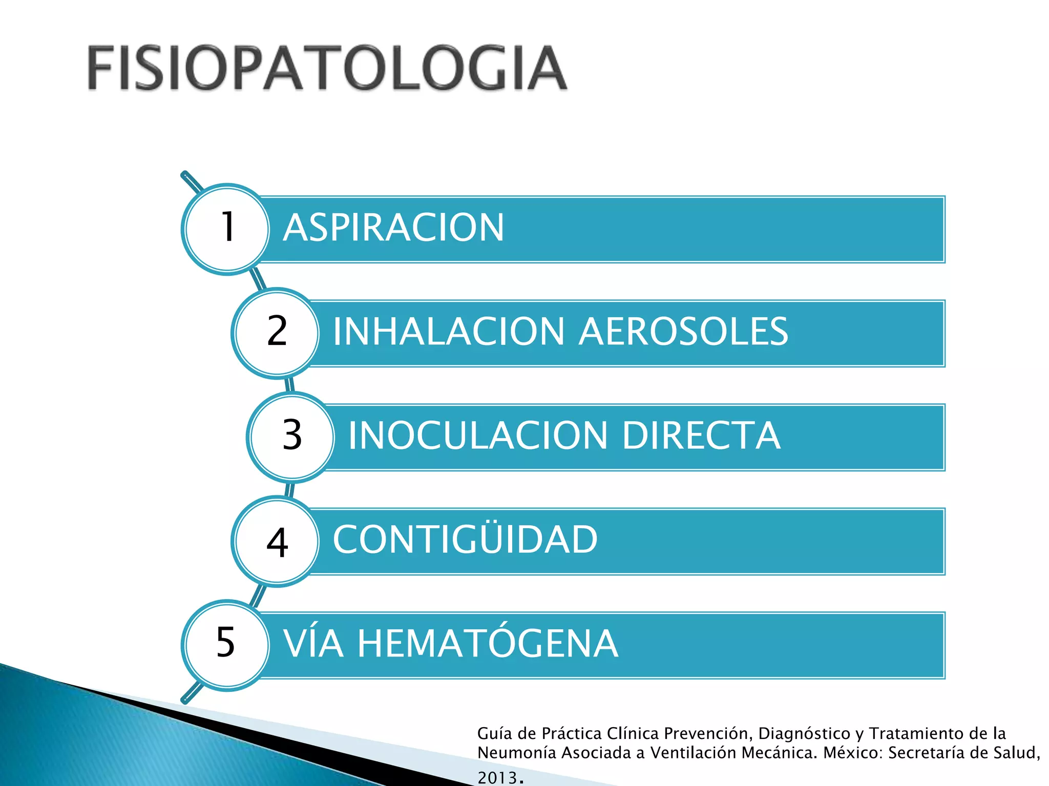ASPIRACION
INHALACION AEROSOLES
INOCULACION DIRECTA
CONTIGÜIDAD
VÍA HEMATÓGENA
1
2
3
4
5
Guía de Práctica Clínica Prevención, Diagnóstico y Tratamiento de la
Neumonía Asociada a Ventilación Mecánica. México: Secretaría de Salud,
2013.
 