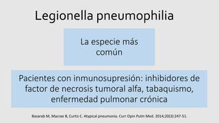 Legionella pneumophilia
La especie más
común
Pacientes con inmunosupresión: inhibidores de
factor de necrosis tumoral alfa, tabaquismo,
enfermedad pulmonar crónica
Basarab M, Macrae B, Curtis C. Atypical pneumonia. Curr Opin Pulm Med. 2014;20(3):247-51.
 