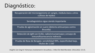 Uluğ M, Can-Ulug N. Pulmonary involvement in brucellosis. J Infect Dis Med Microbiol. 2012;23(1): 13-15.
Diagnóstico:
Recuperación del microorganismo en sangre, médula ósea u otros
cultivos de tejidos
Serodiagnóstico sigue siendo importante
Prueba de aglutinación en suero (detecta anticuerpos contra
Brucella)
Detección de IgM con ELISA, radioinmunoensayo y ensayo de
inmunofluorescencia indirecta
Prueba de Rosa de Bengala: sensibilidad 99%, especificidad baja,
títulos de 1:160
 
