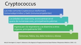 Cryptococcus
Kelly B, Pennington K, Limper A. Advances in the diagnosis of fungal pneumonias.Expert Review of Respiratory Medicine. 2020; 1-12.
Los más comunes Cryptococcus neoformans
(inmunodeprimidos) y Gatti (inmunocompetentes)
Los árboles son reservorio, se encuentran en el
guano de numerosas aves, principalmente palomas
Ingresa por vía respiratoria y se disemina a otros
órganos, principalmente SNC.
Síntomas: fiebre, tos, dolor torácico y disnea
 