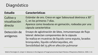 Diagnóstico
Estudio Características
Cultivo y
visualización
directa
Estándar de oro. Crece en agar Sabouraud dextrosa a 30°
C, en los primeros 7 días.
Aparece como levaduras en gemación, rodeadas por una
cápsula característica
Detección de
antígenos
Ensayo de aglutinación de látex, inmunoensayo de flujo
lateral: detectan componentes de la cápsula
Se realiza en muestras de líquido como esputo, lavados
bronquiales, líquido cefalorraquídeo, etc
Sensibilidad del 73.9% en afección pulmonar
Kelly B, Pennington K, Limper A. Advances in the diagnosis of fungal pneumonias.Expert Review of Respiratory Medicine. 2020; 1-12.
 