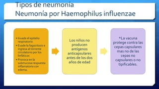 Tipos de neumonía
Neumonía por Haemophilus influenzae
• Invade el epitelio
respiratorio
• Evade la fagocitosis e
ingresa al torrente
circulatorio por los
linfáticos
• Provoca en la
submucosa respuesta
inflamatoria con
edema.
Los niños no
producen
antígenos
anticapsulares
antes de los dos
años de edad
*La vacuna
protege contra las
cepas capsulares
mas no de las
cepas no
capsulares o no
tipificables.
 