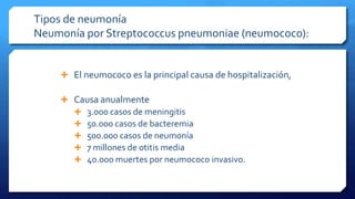 Tipos de neumonía
Neumonía por Streptococcus pneumoniae (neumococo):
 El neumococo es la principal causa de hospitalización,
 Causa anualmente
 3.000 casos de meningitis
 50.000 casos de bacteremia
 500.000 casos de neumonía
 7 millones de otitis media
 40.000 muertes por neumococo invasivo.
 
