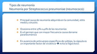 Tipos de neumonía
Neumonía por Streptococcus pneumoniae (neumococo):
 Principal causa de neumonía adquirida en la comunidad, otitis
media y sinusitis
 Ocasiona entre 17% a 40% de las neumonías
 Es el germen que con mayor frecuencia causa derrame
paraneumónico
 En ausencia de anticuerpos específicos de subtipo, la cápsula es
un importante factor de virulencia  evita la fagocitosis
 