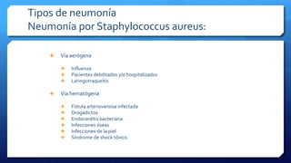 Tipos de neumonía
Neumonía por Staphylococcus aureus:
 Vía aerógena
 Influenza
 Pacientes debilitados y/o hospitalizados
 Laringotraqueítis
 Vía hematógena
 Fístula arteriovenosa infectada
 Drogadictos
 Endocarditis bacteriana
 Infecciones óseas
 Infecciones de la piel
 Síndrome de shock tóxico.
 