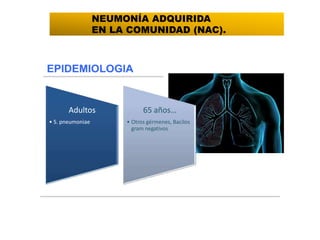 Adultos
• S. pneumoniae
65 años…
• Otros gérmenes, Bacilos
gram negativos
NEUMONÍA ADQUIRIDA
EN LA COMUNIDAD (NAC).
 