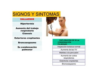 SIGNOS Y SINTOMAS
HALLAZGOS
Hipertermia
Aumento del trabajo
respiratorio
Cianosis
Estertores crepitantes
Broncoespasmo
Sx condensación
pulmonar
EXPLORACION DE SX de
CONDENSACIÓN
PULMONAR
Inspección torácica normal
Aumento de las VV
Matidez a la percusión
Aumento de ruidos
respiratorios
Estertores crepitantes
Broncoespasmo
 