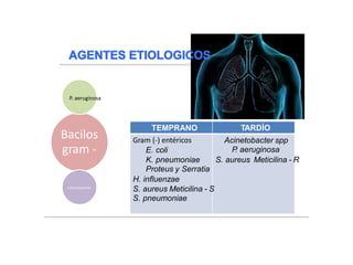 )
Bacilos
gram -
P. aeruginosa
Enterobacterias
TEMPRANO TARDÍO
Gram (-) entéricos
E. coli
K. pneumoniae
Proteus y Serratia
H. influenzae
S. aureus Meticilina - S
S. pneumoniae
Acinetobacter spp
P
. aeruginosa
S. aureus Meticilina - R
. Braunwald,E., & Harrison, (2004)Harrison: Principios de Medicina Interna . McGraw-Hill.)
 
