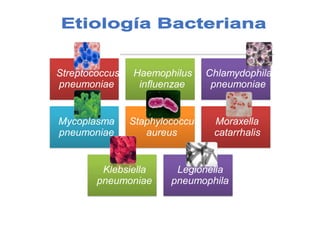 )
Streptococcus
pneumoniae
Haemophilus
influenzae
Chlamydophila
pneumoniae
Mycoplasma
pneumoniae
Staphylococcus
aureus
Moraxella
catarrhalis
Klebsiella
pneumoniae
Legionella
pneumophila
 