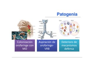 Braunwald, Eugene, and Tinsley Randolph Harrison. "NEUMONIA." Harrison: principios de medicina interna. Madrid:)
McGraw-Hill, 2002. 1619-1628. Impreso.
Colonización
orofaringe con
MO
Aspiración de
orofaringe-
VRB
Deterioro de
mecanismos
defensa
 