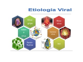 Rino-
virus
Corona-
virus
RSV
Virus
gripe
Aden
o
virus
Parain-
fluenza
 
