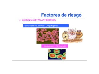 Braunwald, Eugene, and Tinsley Randolph Harrison. "NEUMONIA." Harrison: principios de medicina interna. Madrid:)
McGraw-Hill, 2002. 1619-1628. Impreso.
 ACCIÓN SELECTIVA ANTIBIOTICOS
Sustitucion flora normal – MO patogenos
Mutaciones --- Resistencia
 