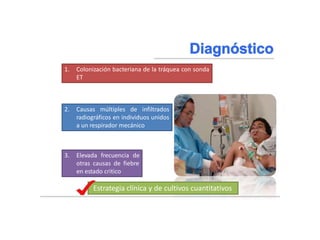 Braunwald, Eugene, and Tinsley Randolph Harrison. "NEUMONIA." Harrison: principios de medicina interna. Madrid:)
McGraw-Hill, 2002. 1619-1628. Impreso.
1. Colonización bacteriana de la tráquea con sonda
ET
2. Causas múltiples de infiltrados
radiográficos en individuos unidos
a un respirador mecánico
3. Elevada frecuencia de
otras causas de fiebre
en estado critico
Estrategia clínica y de cultivos cuantitativos
 