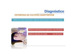 Braunwald, Eugene, and Tinsley Randolph Harrison. "NEUMONIA." Harrison: principios de medicina interna. Madrid:)
McGraw-Hill, 2002. 1619-1628. Impreso.
Diferenciar entre colonización e infección real al conocer numero de bacterias
ESTRATEGIA DE CULTIVOS CUANTITATIVOS
A >distancia se obtenga muestra, > especificidad en R=, < numero de
gérmenes que proliferaron
Material endotraqueal por aspiración max 106 cfu/ml
Material obtenido con cepillo max 103 cfu/ml
 