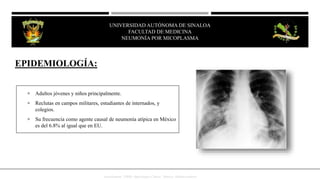  Adultos jóvenes y niños principalmente.
 Reclutas en campos militares, estudiantes de internados, y
colegios.
 Su frecuencia como agente causal de neumonía atípica en México
es del 6.8% al igual que en EU.
EPIDEMIOLOGÍA:
JesusKumate. (2008). Infectologia Clinica . Mexico: Méndez editores ,
UNIVERSIDAD AUTÓNOMA DE SINALOA
FACULTAD DE MEDICINA
HEPATITIS VIRAL
UNIVERSIDAD AUTÓNOMA DE SINALOA
FACULTAD DE MEDICINA
NEUMONÍA POR MICOPLASMA
 