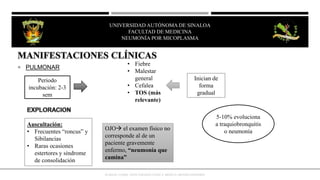  PULMONAR
Periodo
incubación: 2-3
sem
• Fiebre
• Malestar
general
• Cefalea
• TOS (más
relevante)
Inician de
forma
gradual
5-10% evoluciona
a traquiobronquitis
o neumonía
Auscultación:
• Frecuentes “roncus” y
Sibilancias
• Raras ocasiones
estertores y síndrome
de consolidación
OJO el examen físico no
corresponde al de un
paciente gravemente
enfermo, “neumonía que
camina”
KUMATE J.[2008]. INFECTOLOGÍA CLÍNICA. MÉXICO; MENDEZ EDITORES.
UNIVERSIDAD AUTÓNOMA DE SINALOA
FACULTAD DE MEDICINA
HEPATITIS VIRAL
UNIVERSIDAD AUTÓNOMA DE SINALOA
FACULTAD DE MEDICINA
NEUMONÍA POR MICOPLASMA
 