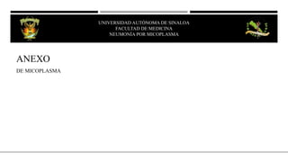 ANEXO
DE MICOPLASMA
UNIVERSIDAD AUTÓNOMA DE SINALOA
FACULTAD DE MEDICINA
NEUMONÍA POR MICOPLASMA
 