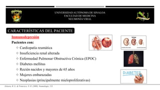 UNIVERSIDAD AUTÓNOMA DE SINALOA
FACULTAD DE MEDICINA
NEUMONÍA VIRAL
Inmunodepresión
Pacientes con:
 Cardiopatía reumática
 Insuficiencia renal alterada
 Enfermedad Pulmonar Obstructiva Crónica (EPOC)
 Diabetes mellitus
 Recién nacidos y mayores de 65 años
 Mujeres embarazadas
 Neoplasias (principalmente mieloproliferativas)
Octavio, R. S., & Francisco, N. R. (2009). Neumología. 133.
CARACTERÍSTICAS DEL PACIENTE
 