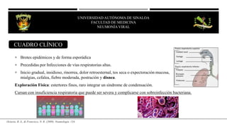  Brotes epidémicos y de forma esporádica
 Precedidas por Infecciones de vías respiratorias altas.
 Inicio gradual, insidioso, rinorrea, dolor retroesternal, tos seca o expectoración mucosa,
mialgias, cefalea, fiebre moderada, postración y disnea.
Exploración Física: estertores finos, raro integrar un síndrome de condensación.
Cursan con insuficiencia respiratoria que puede ser severa y complicarse con sobreinfección bacteriana.
UNIVERSIDAD AUTÓNOMA DE SINALOA
FACULTAD DE MEDICINA
NEUMONÍA VIRAL
CUADRO CLÍNICO
Octavio, R. S., & Francisco, N. R. (2009). Neumología. 134.
 