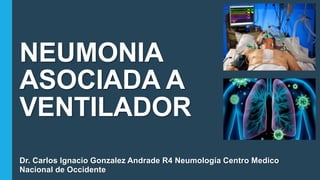 NEUMONIA
ASOCIADA A
VENTILADOR
Dr. Carlos Ignacio Gonzalez Andrade R4 Neumología Centro Medico
Nacional de Occidente
 