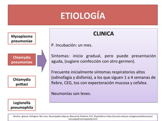 ETIOLOGÍA	
  
Mycoplasma	
  	
  
pneumoniae	
  
Chlamydia	
  
pneumoniae	
  
Chlamydia	
  
psiFaci	
  
Legionella	
  
pneumophila	
  
CLINICA	
  
	
  
P.	
  Incubación:	
  un	
  mes.	
  
	
  
Síntomas:	
   inicio	
   gradual,	
   pero	
   puede	
   presentación	
  
aguda,	
  (sugiere	
  coinfección	
  con	
  otro	
  germen).	
  	
  
	
  
Frecuente	
  inicialmente	
  síntomas	
  respiratorios	
  altos	
  
(odinofagia	
  y	
  disfonía),	
  a	
  los	
  que	
  siguen	
  1	
  a	
  4	
  semanas	
  de	
  
ﬁebre,	
  CEG,	
  tos	
  con	
  expectoración	
  mucosa	
  y	
  cefalea.	
  	
  
	
  
Neumonías	
  son	
  leves.	
  
	
  
Sánchez,	
  Ignacio;	
  Holmgren,	
  Nils	
  Linus.	
  Neumopa_as	
  a_picas,	
  Manual	
  de	
  Pediatria,	
  PUC.	
  Disponible	
  en	
  h[p://escuela.med.puc.cl/paginas/publicaciones/
manualped/neumopata>p.html	
  	
  
 
