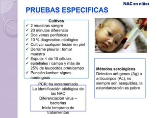 NAC en niños


                Cultivos
   2 muestras sangre
   20 minutos diferencia
   Dos venas periféricas
   10 % diagnostico etiológico
   Cultivar cualquier lesión en piel
   Derrame pleural : tomar
    muestra
   Esputo: < de 10 células
   epiteliales / campo y más de
    25% de leucocitos pmn/campo         Métodos serológicos
   Punción lumbar: signos              Detectan antígenos (Ag) o
    meníngeos                           anticuerpos (Ac), no
        PCR: ha incrementado            siempre son asequibles, la
     La identificación etiológica de    estandarización es pobre
                 las NAC
         Diferenciación virus –
                bacterias
          Inicio temprano de
              tratamientos
 