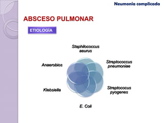 Neumonía complicada


ABSCESO PULMONAR
 ETIOLOGÍA


                   Staphilococcus
                       aeurus

                                    Streptococcus
     Anaerobios                      pneumoniae




                                    Streptococus
      Klebsiella
                                     pyogenes


                      E. Coli
 